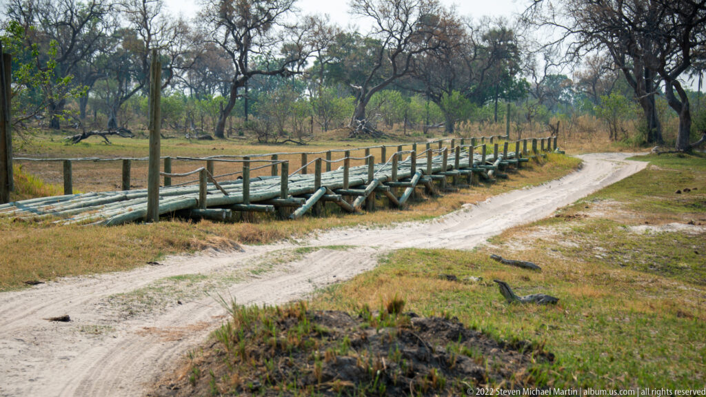 Long narrow timber bridge crossing a shallow wetland beside a curving sandy vehicle track in woodland.