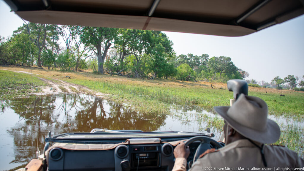 View over a safari guide and vehicle dashboard toward a shallow flooded track bordered by green wetland vegetation.
