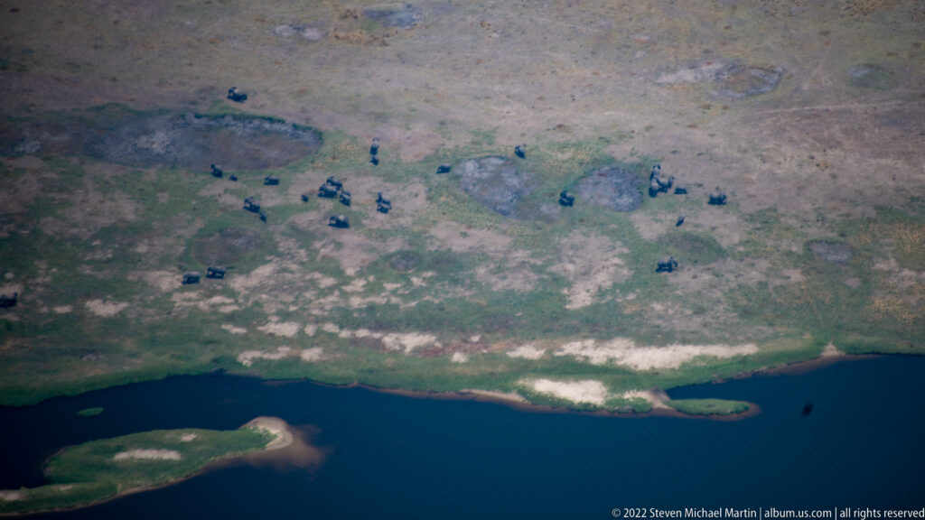 Aerial view of numerous African elephants scattered across pale ground beside a dark river channel in the Okavango Delta.