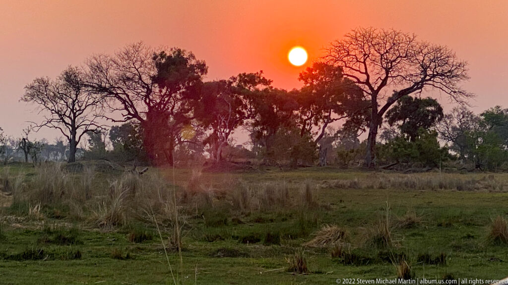 Orange sun setting above silhouetted trees and dark floodplain grass in the Okavango Delta.