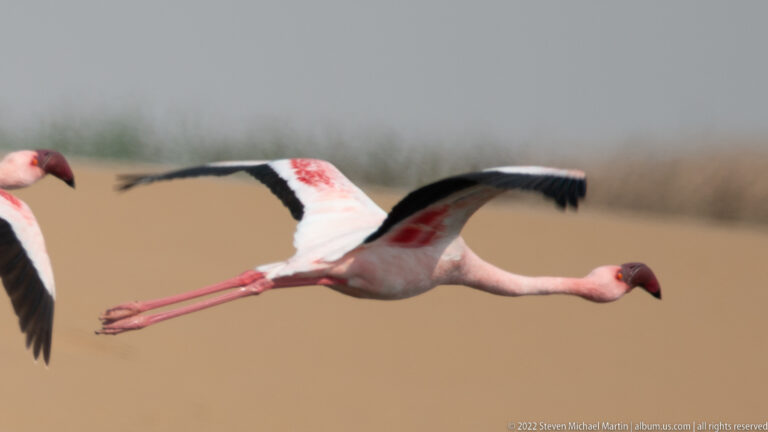Durado and the Namib