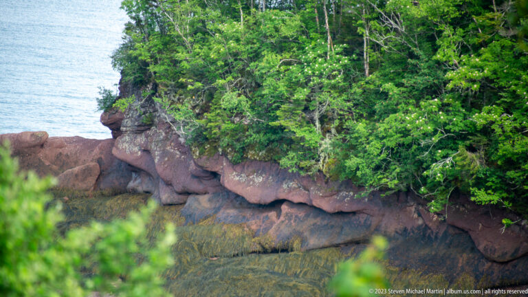 Reddish bedrock ledges and shallow tidal water below dense green forest at Herring Cove.