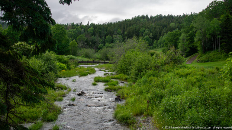 Shallow rocky stream winding through dense shrubs and mixed forest in a green valley.