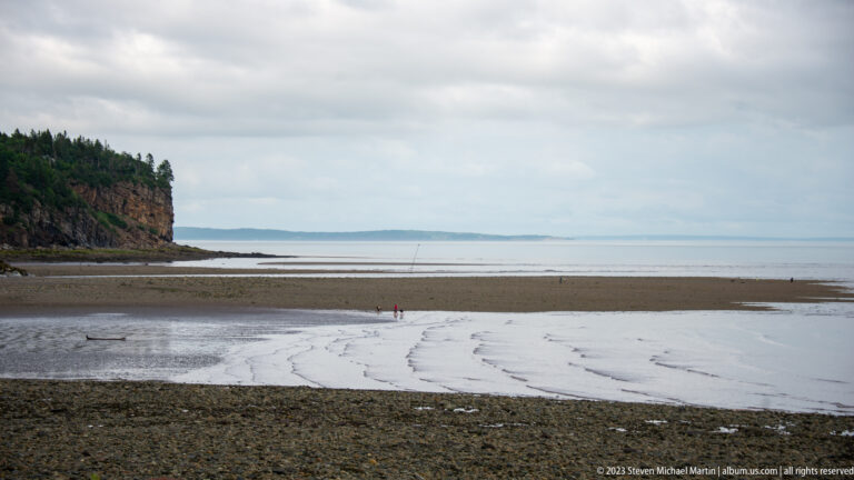 Broad low-tide flats and shallow channels at Herring Cove below a wooded cliff and gray sky.