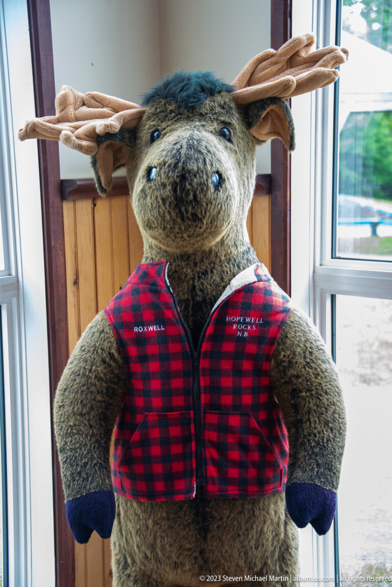 Large plush moose with broad antlers wearing a red-and-black plaid Hopewell Rocks vest indoors.