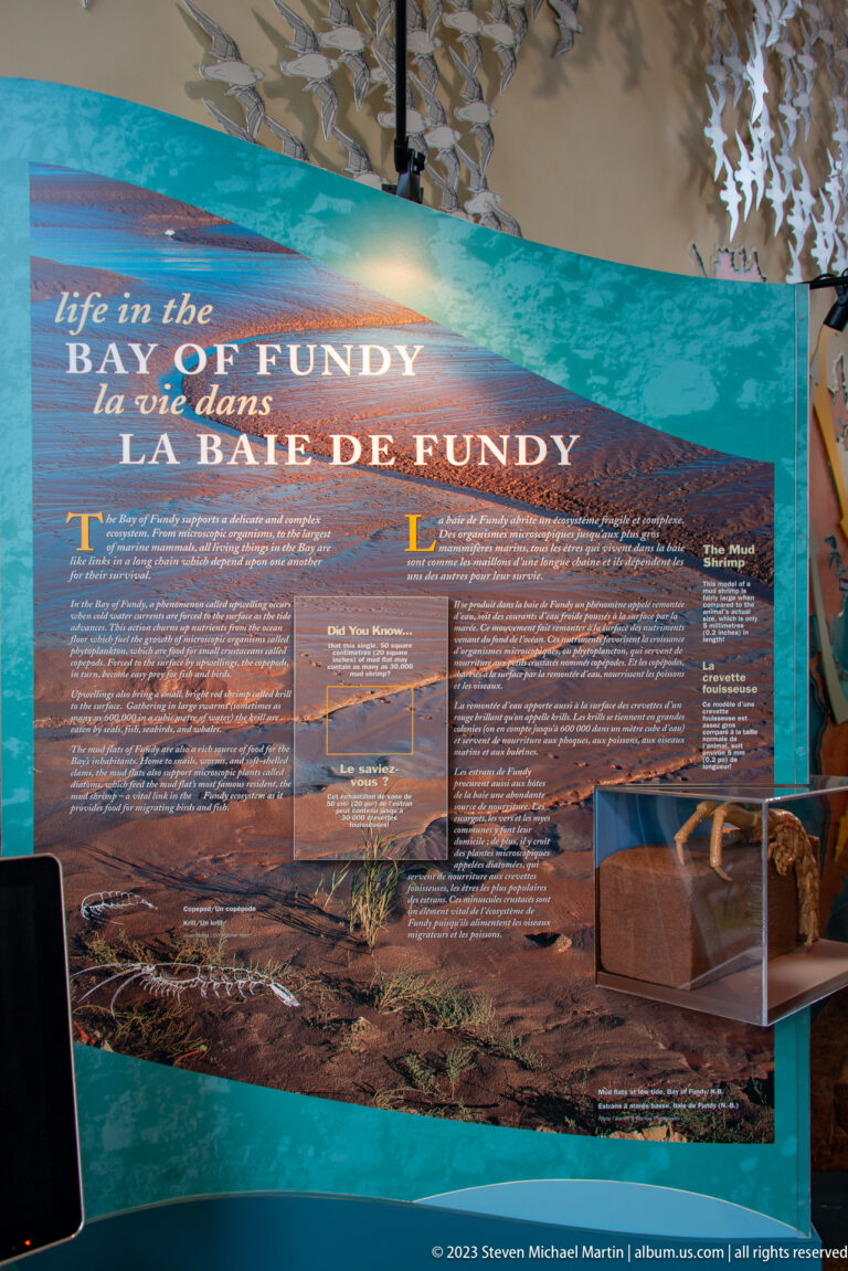 Bilingual Life in the Bay of Fundy exhibit with coastal photograph, text panels, and natural-history display elements.