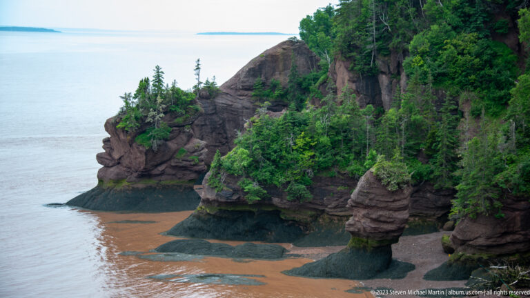 Vegetation-topped flowerpot sea stacks standing on exposed tidal flats below a forested reddish cliff.