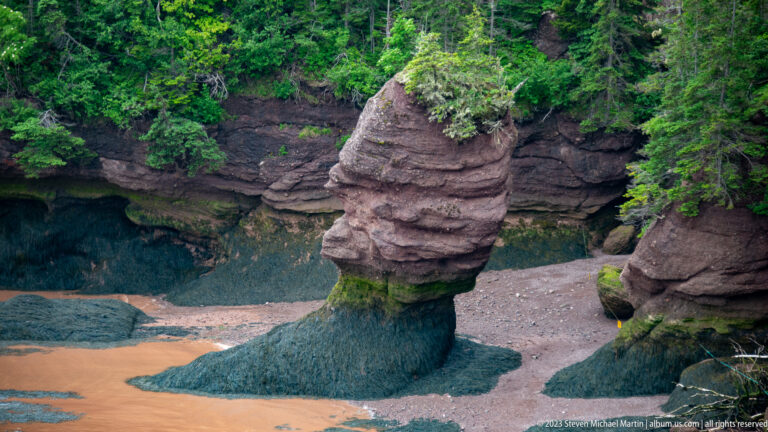 Close view of a vegetation-topped Hopewell flowerpot rock with a narrow dark base on exposed tidal flats.