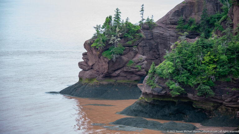 Eroded reddish sea stacks with vegetation and dark seaweed bases beside the Hopewell Rocks cliff.