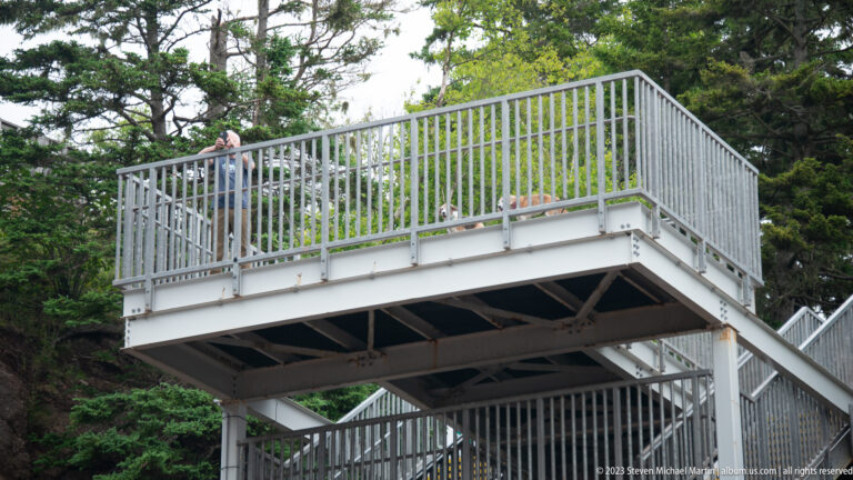 Steel shoreline access tower with visitors on the upper landing beside forest at Hopewell Rocks.