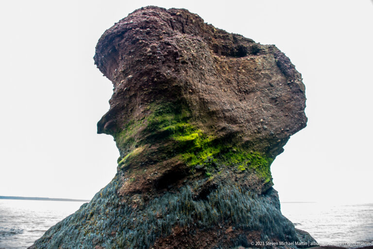 Large Hopewell flowerpot rock with a broad reddish top, narrow dark base, and bright green algae band.