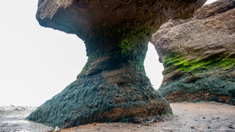 Close view of an undercut Hopewell rock pillar with dark seaweed-covered base and reddish upper mass.