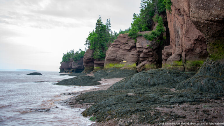 Layered reddish cliffs and dark intertidal ledges beneath forest along the Hopewell Rocks shoreline.