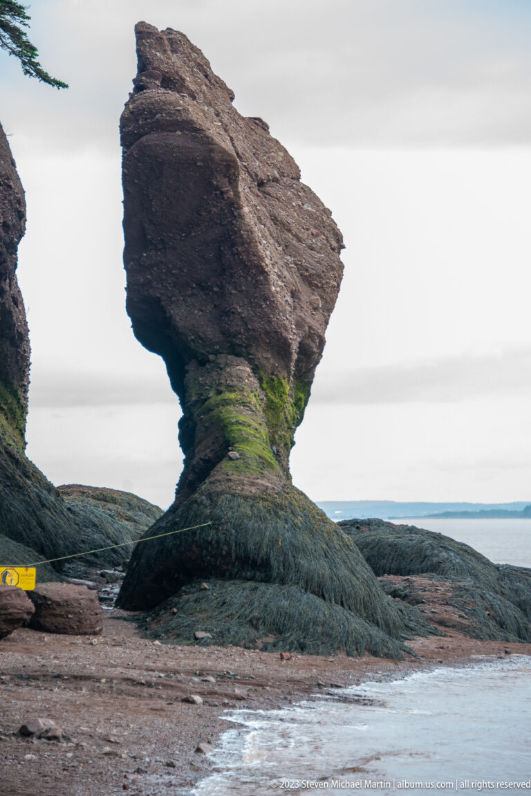 Side profile of a Hopewell flowerpot rock with broad reddish cap and narrow algae-covered base.