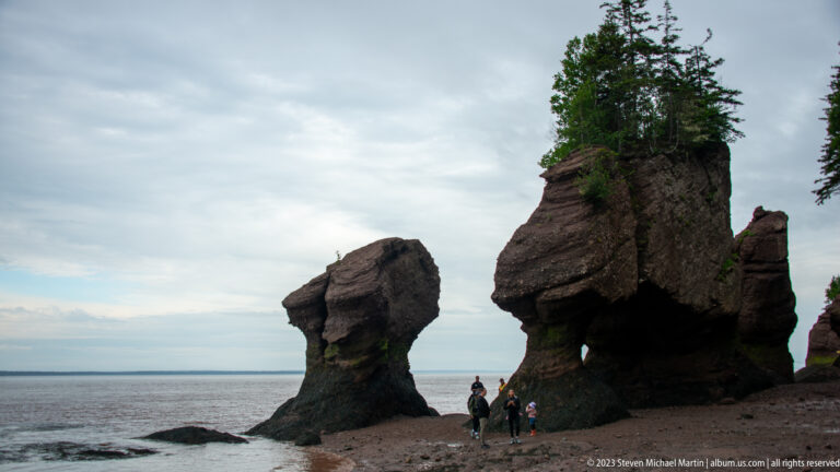 Visitors standing among vegetation-topped Hopewell sea stacks on the exposed shore at low tide.