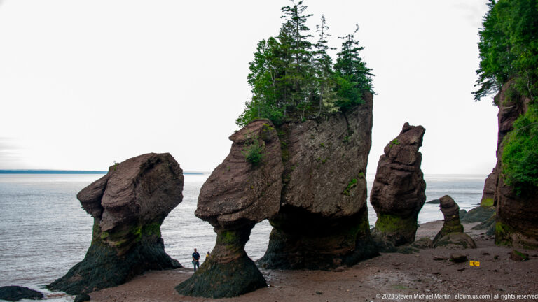 Cluster of Hopewell sea stacks, including a forest-topped pillar and narrower flowerpot forms beside the Bay of Fundy.