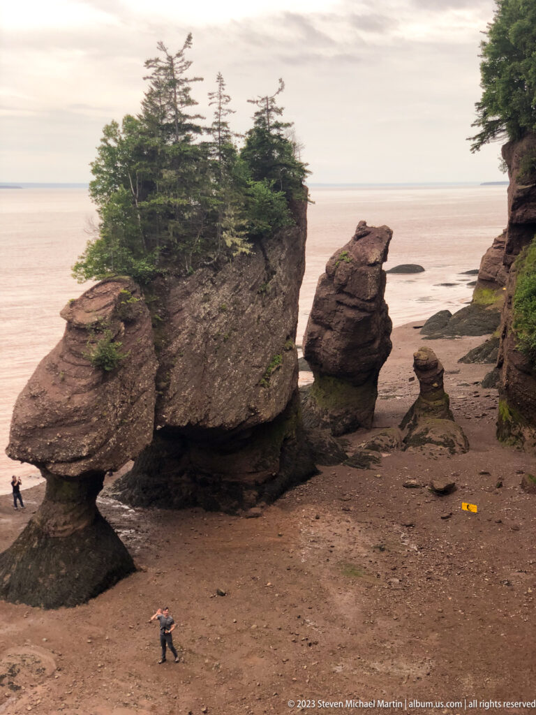 Large forest-topped Hopewell sea stack flanked by smaller flowerpot pillars above an exposed tidal shore.