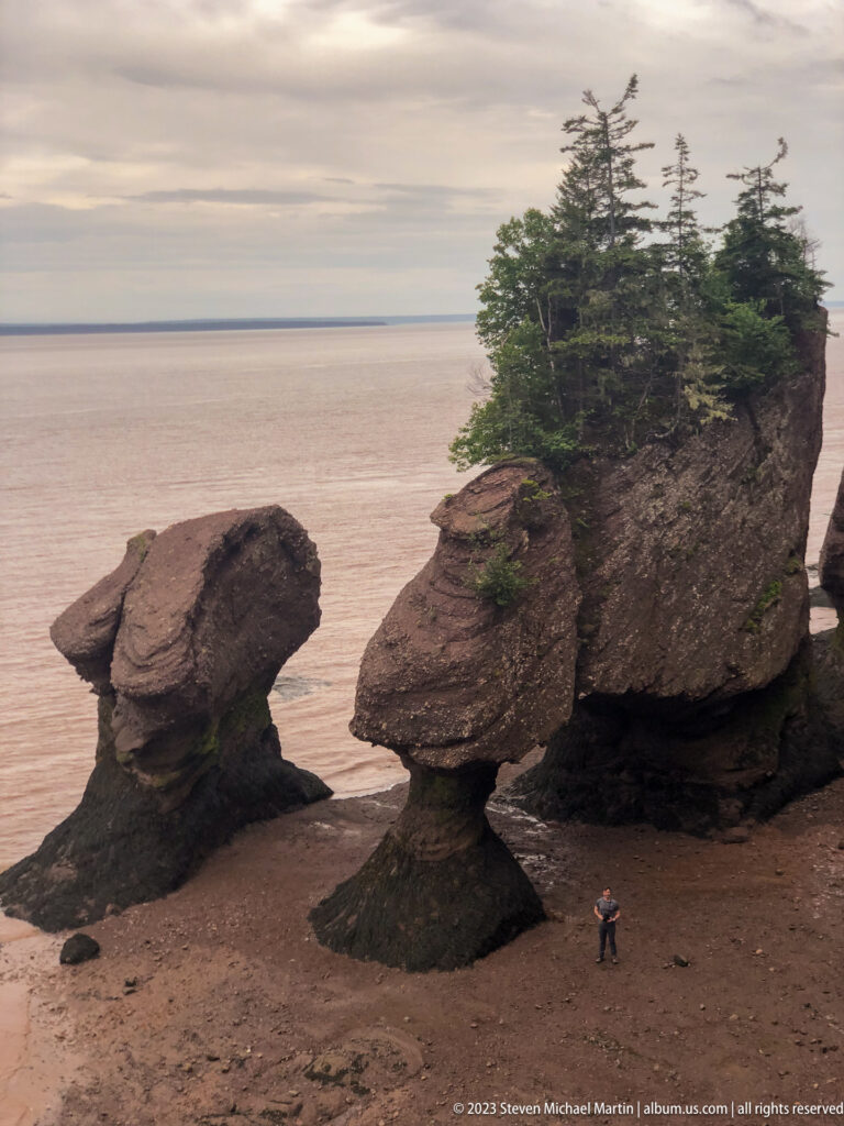 Two broad-capped Hopewell flowerpot rocks beside a forested stack, with a visitor on the exposed shore.