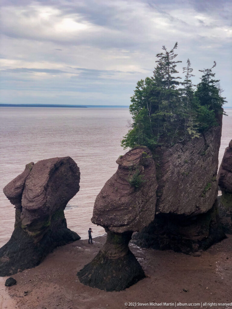 Hopewell flowerpot rocks and a conifer-topped sea stack silhouetted against the broad Bay of Fundy.