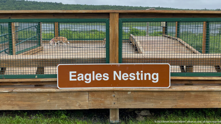 Wooden observation deck with mesh railing and an Eagles Nesting sign facing a distant nest platform.