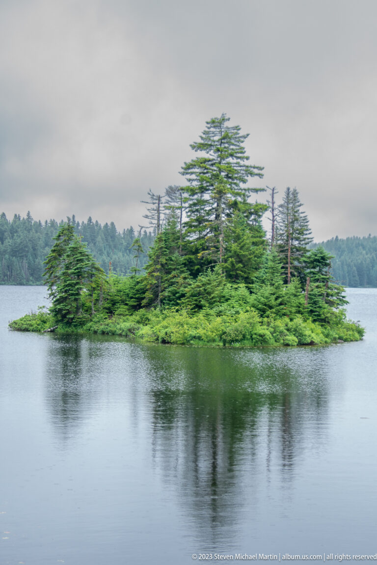 Low tree-covered island with tall conifers surrounded by calm lake water under gray sky.