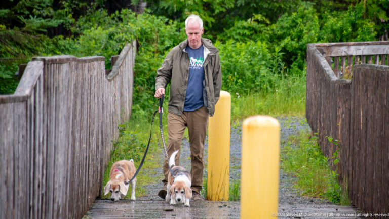 Man walking two leashed beagles toward the camera on a wooden boardwalk between yellow bollards.