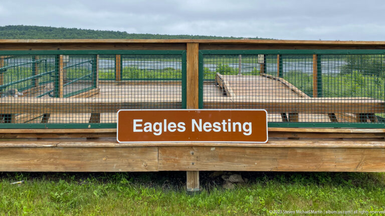 Centered Eagles Nesting sign mounted on a timber observation deck with wire-mesh panels and nest area beyond.
