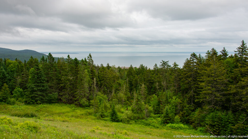 Green clearing and mixed forest with a rounded hill and pale distant water beneath gray clouds.
