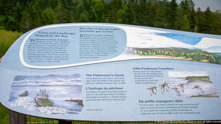 Curved bilingual interpretive panel with coastal illustrations, shorebirds, and text about lives shaped by the Bay.