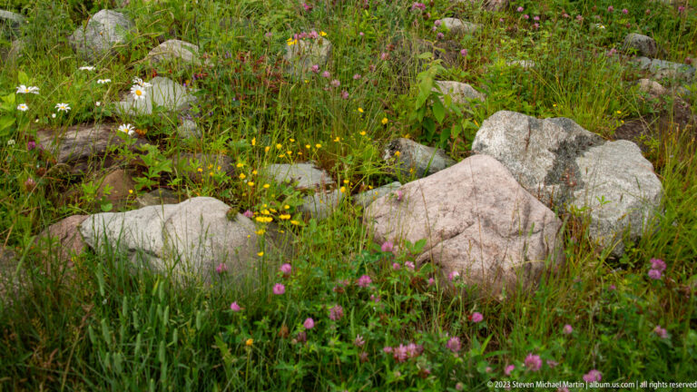 Pale rounded boulders surrounded by grasses and scattered white, yellow, pink, and purple wildflowers.