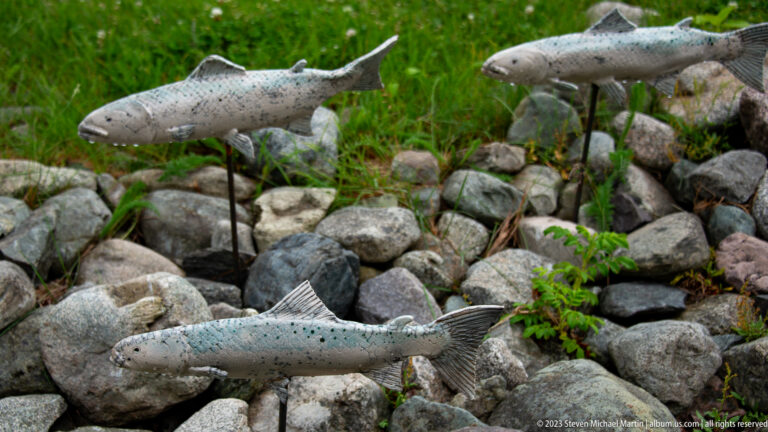 Three gray spotted salmon sculptures on posts arranged above rounded stream-like rocks and sparse plants.