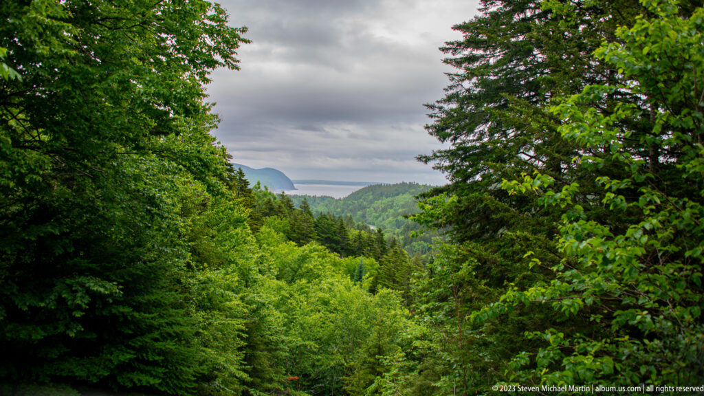 View through dense green forest toward a distant rounded ridge under an overcast sky.