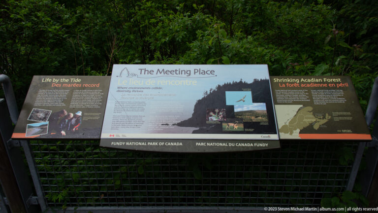 Three bilingual Fundy National Park interpretive panels about tides, ecological connections, and the Acadian forest.