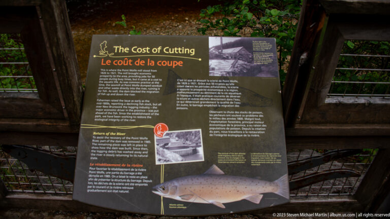 Interpretive panel titled The Cost of Cutting with historic logging photographs and a large salmon illustration.