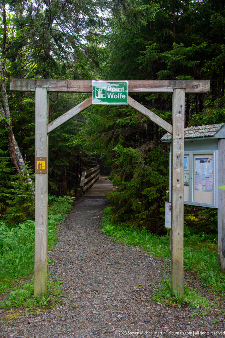 Timber Point Wolfe trailhead gateway over a gravel path leading into dense evergreen forest.