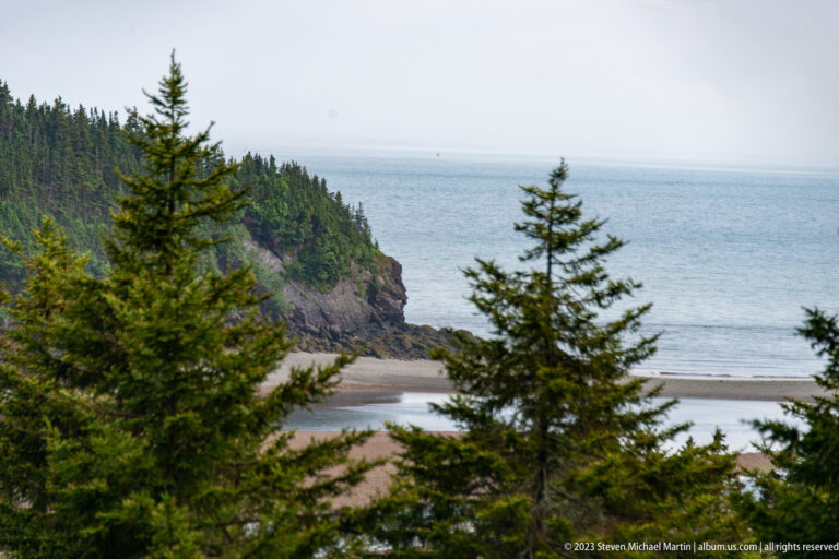 Wooded rocky headland above a narrow tidal cove, with spruce trees in the foreground and open bay beyond.