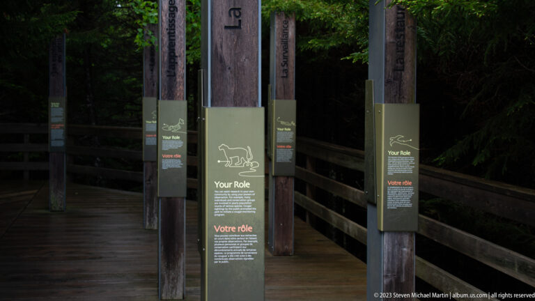 Narrow bilingual Your Role wildlife panels attached to timber posts along a shaded forest boardwalk.