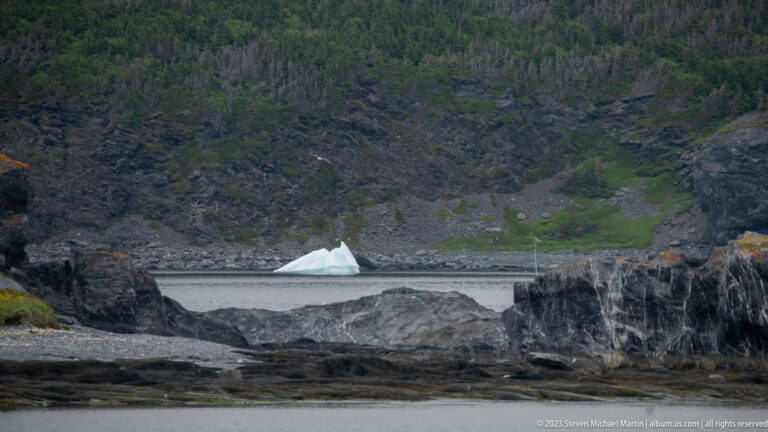 Small white iceberg floating beyond dark coastal rocks, backed by a steep forested hillside.