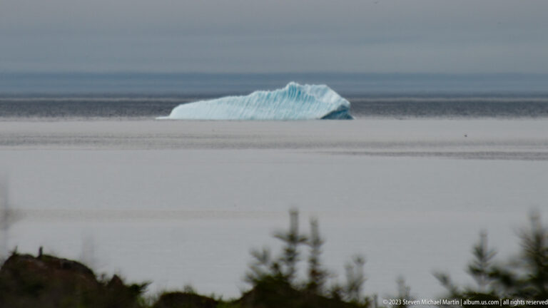Blue-white iceberg floating on calm gray water beyond blurred dark coastal vegetation.