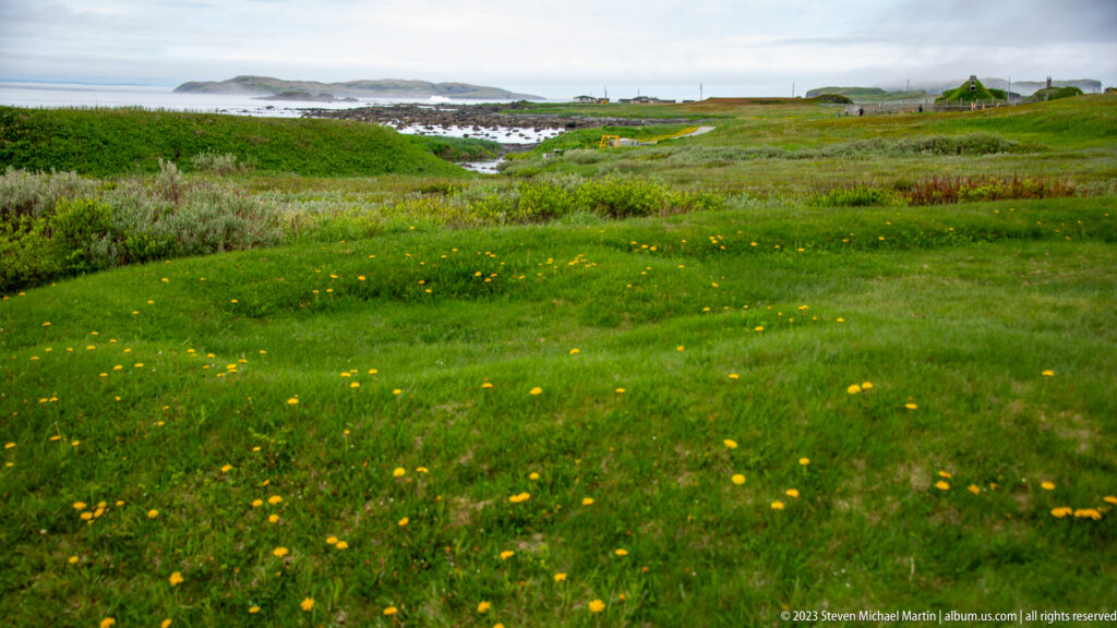 Green coastal meadow dotted with yellow wildflowers, with wetland, rocky shore, and distant structures beyond.
