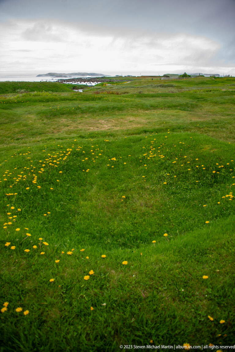 Wide green meadow scattered with yellow flowers extending toward a low distant coastline beneath gray cloud.