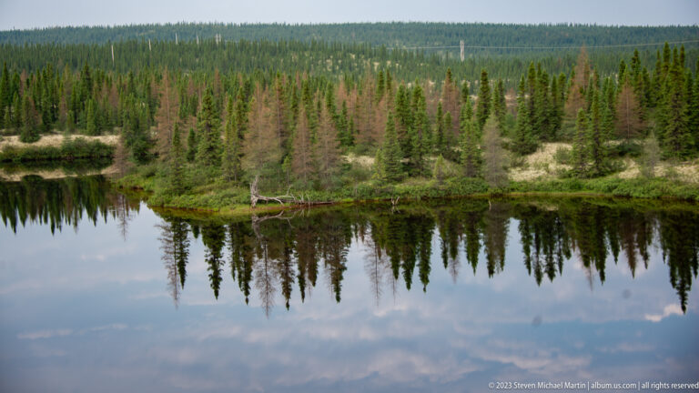 Dark pond reflecting dense conifers along a low shoreline with pale sandy ground behind.