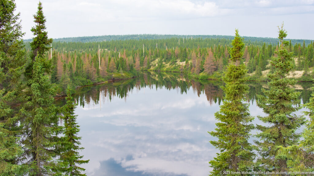 Small pond reflecting forest, framed by tall foreground spruce with green and rust-colored trees beyond.