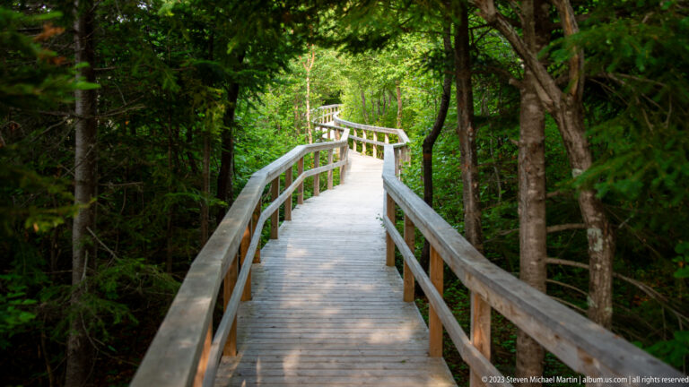 Sunlit wooden boardwalk with handrails running beneath dense trees on the Birch Island Trail.