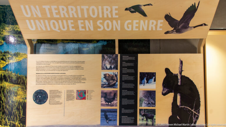 French wildlife exhibit with photographs, text, a landscape panel, and an animal silhouette under “TERRITOIRE UNIQUE EN SON GENRE.”