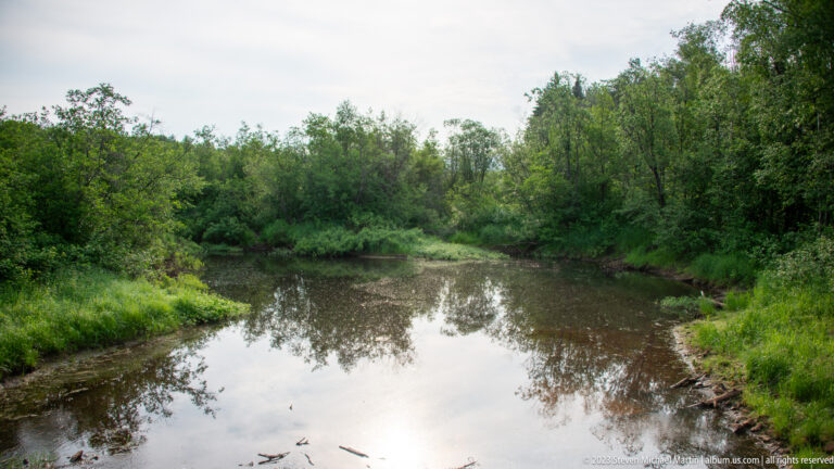 Narrow dark creek bordered by dense shrubs and trees, with still reflective water and muddy banks.