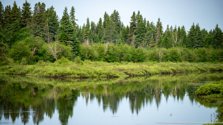Still pond reflecting conifers and deciduous trees, with low marsh vegetation lining the near bank.