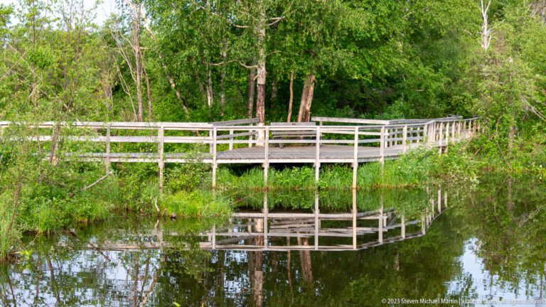 Raised wooden boardwalk curving across still wetland water, with railings and supports reflected below.