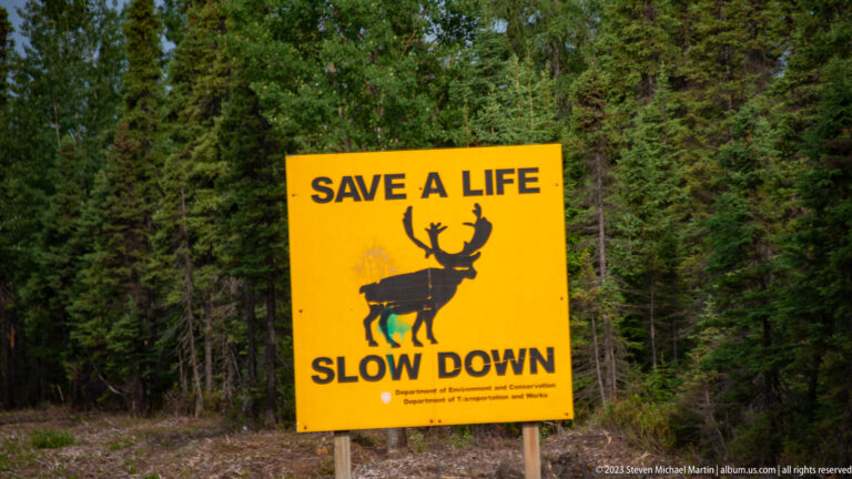 Yellow roadside sign with a caribou silhouette reading “Save a Life – Slow Down” beside forest.