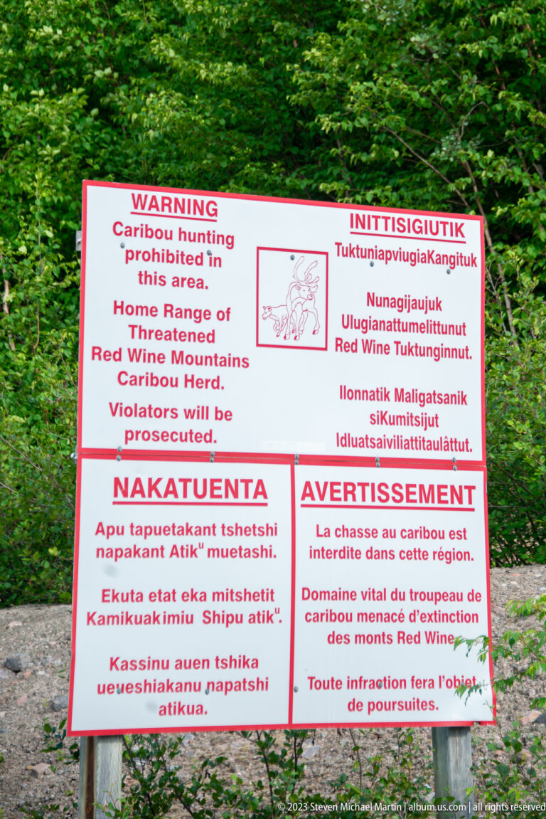 Multilingual sign warning that caribou hunting is prohibited in the home range of the threatened Red Wine Mountains herd.